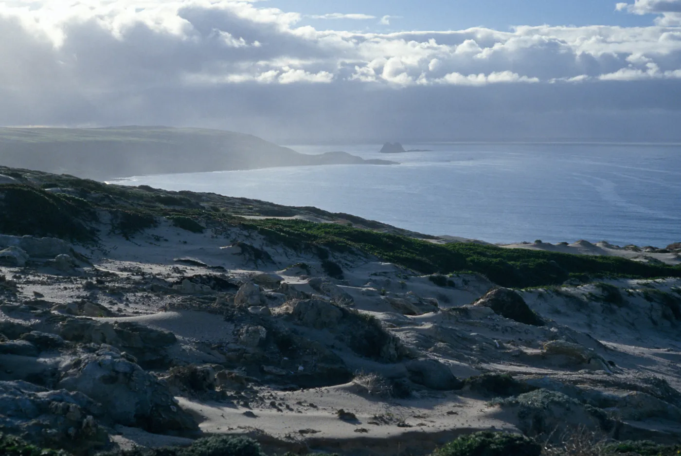 dunes, above Simonton Cove, San Miguel Island