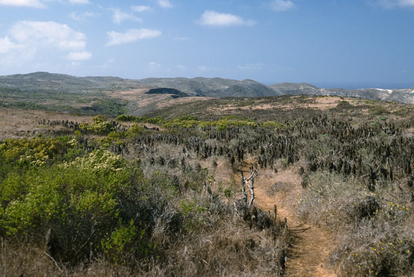 trail to Harris Point peninsula, San Miguel Island