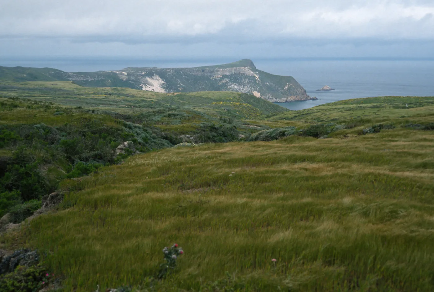 view of Cañada Del Mar, San Miguel Island
