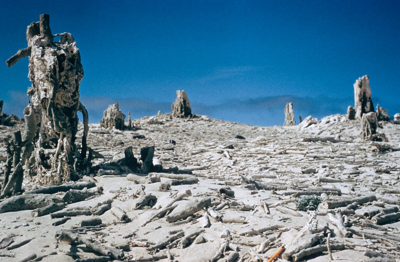 caliche, San Miguel Island, Slide is duplicate