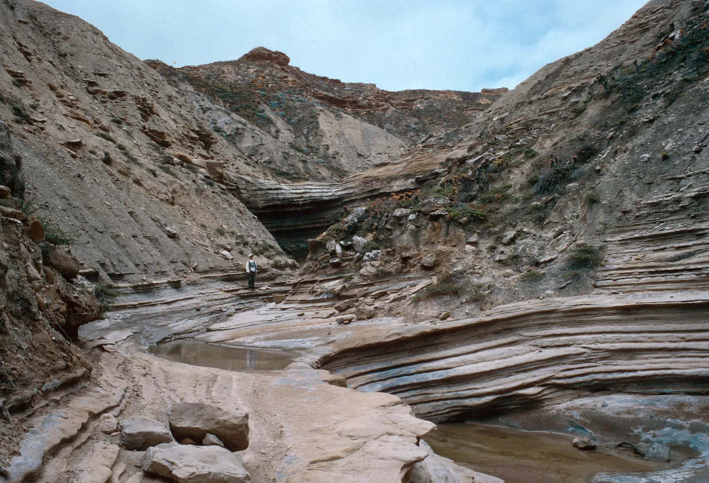 Celery Canyon, San Nicolas Island