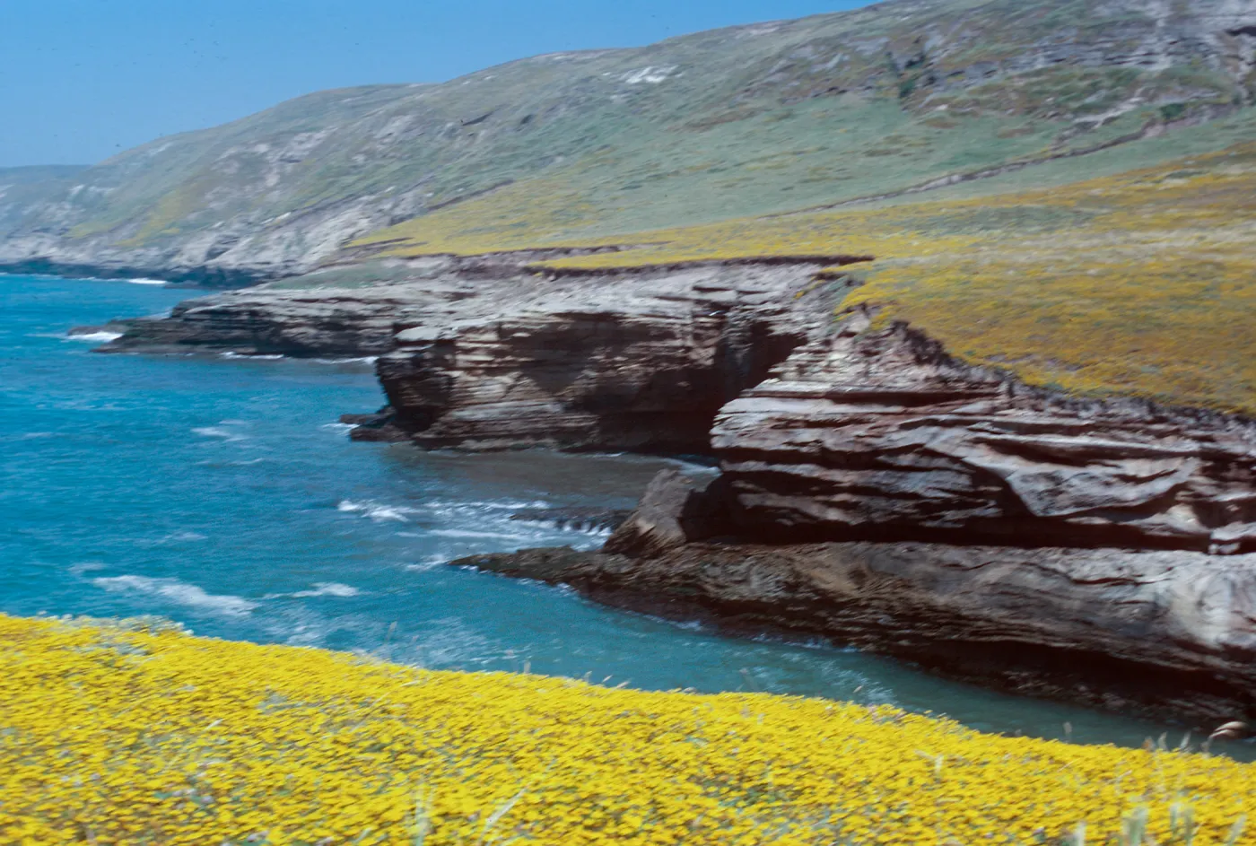 Santa Rosa Island