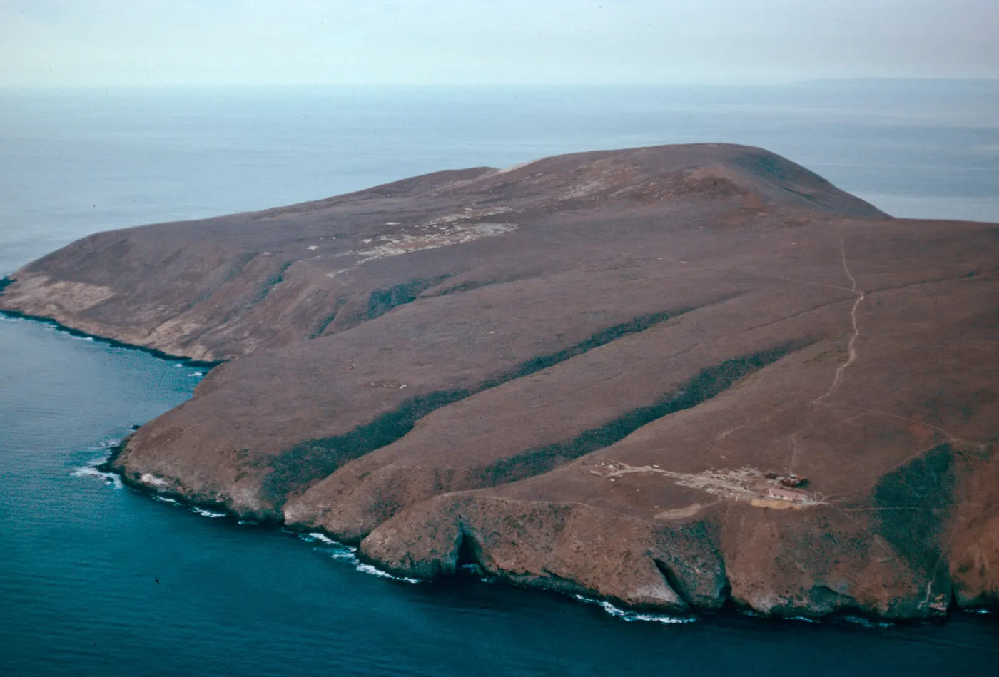 New House Cave & Middle Canyons, East slope, Santa Barbara Island