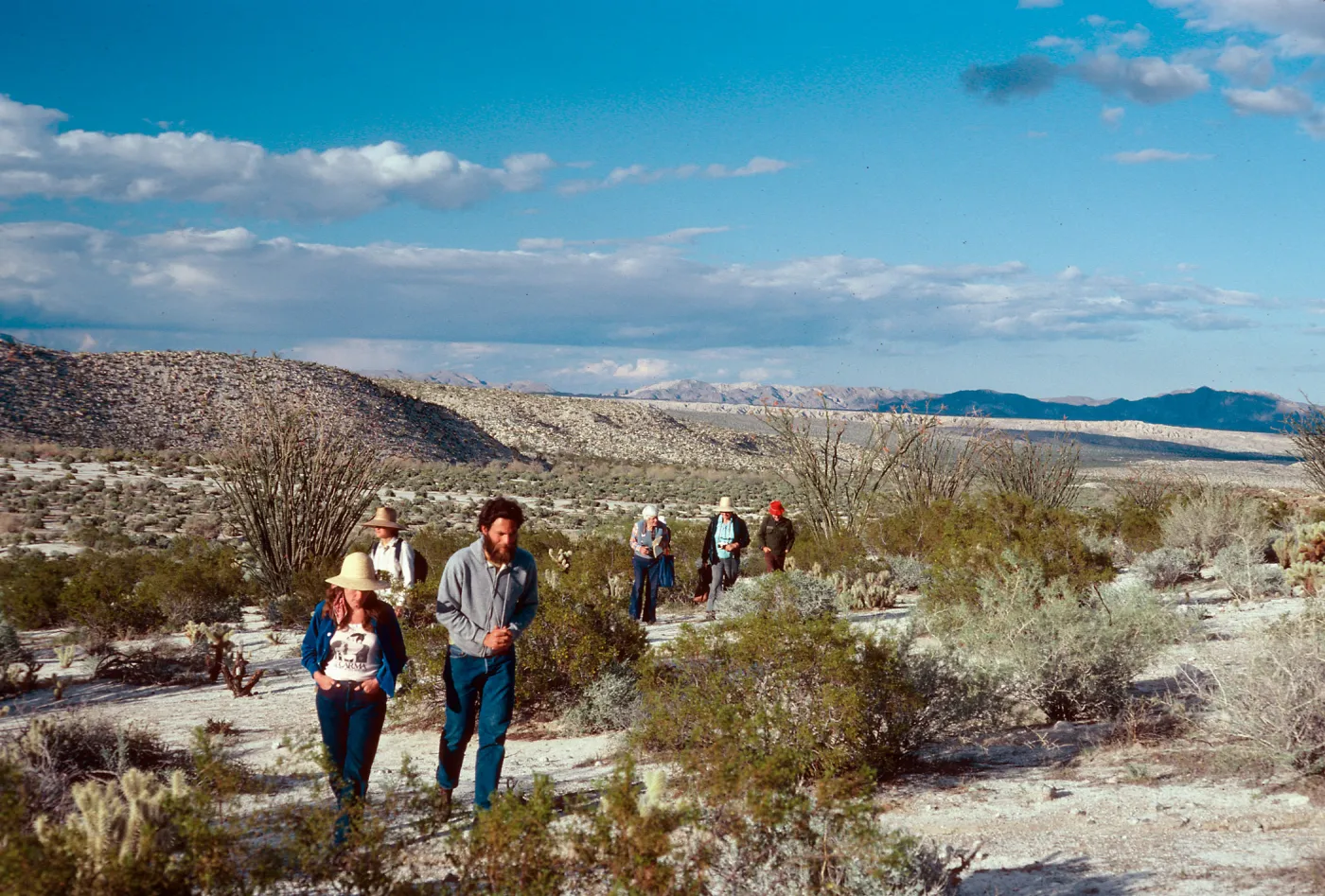 Santa Barbara Botanic Garden class, Bow Willow, Anza Borrego State Park, san Diego County
