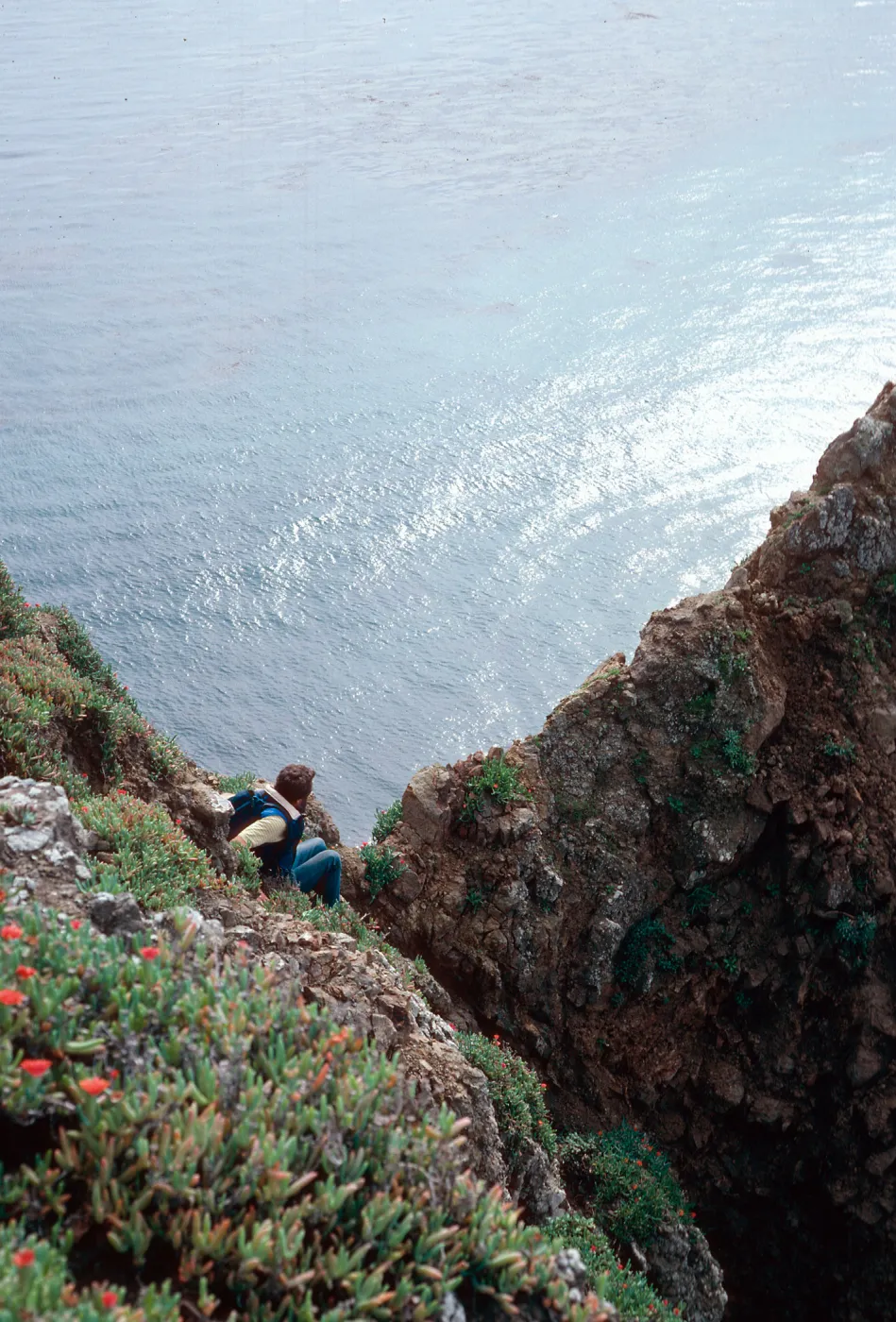 West end, 'Can he make it?', East Anacapa Island