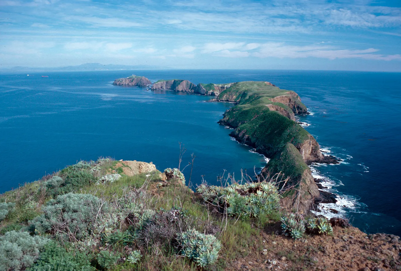 Middle & East Anacapa Islands from East end of terrace, West Anacapa Island