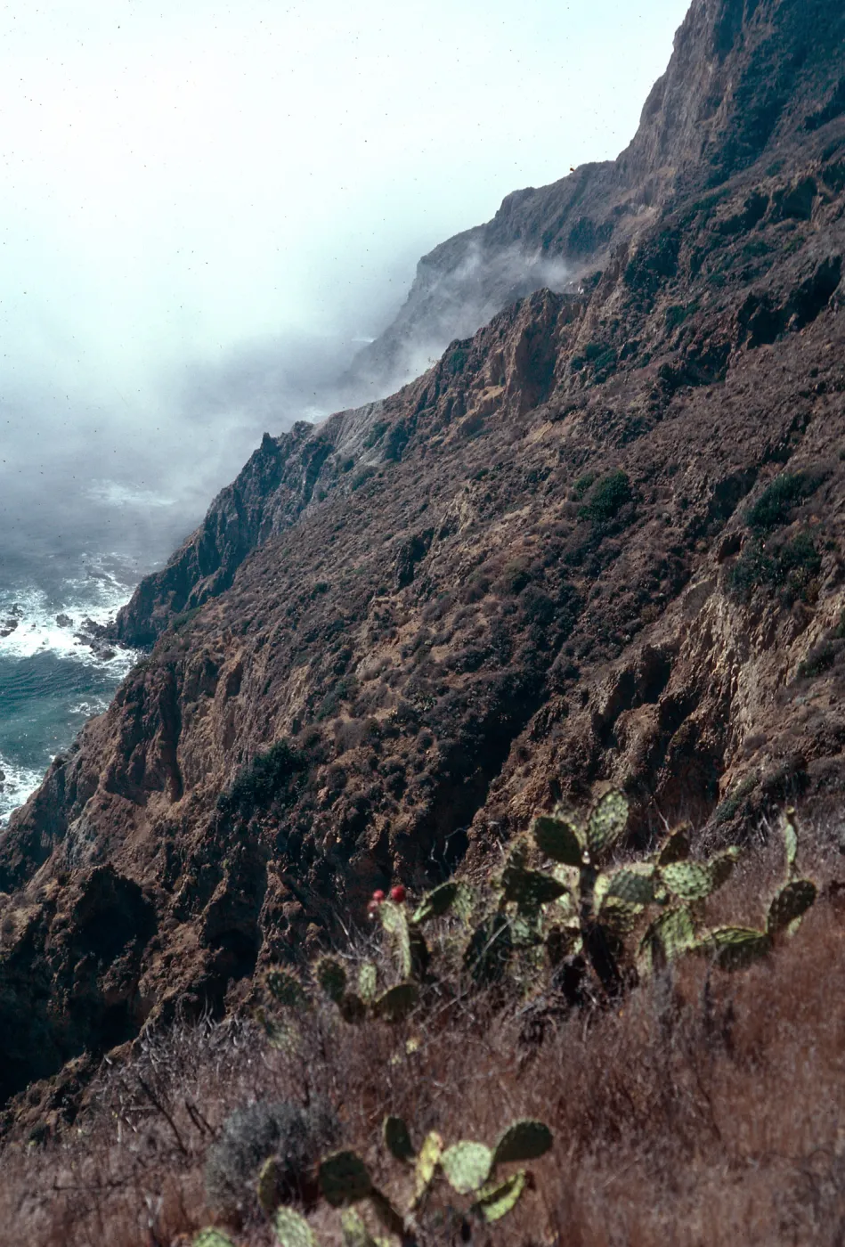 offshore bluffs, East of Cat Rock, West Anacapa Island