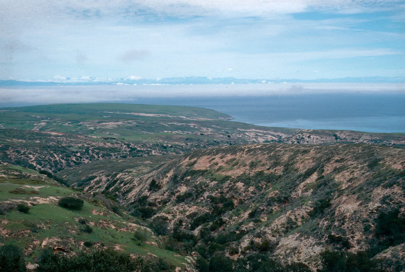 view down Cherry Canyon, Santa Rosa Island