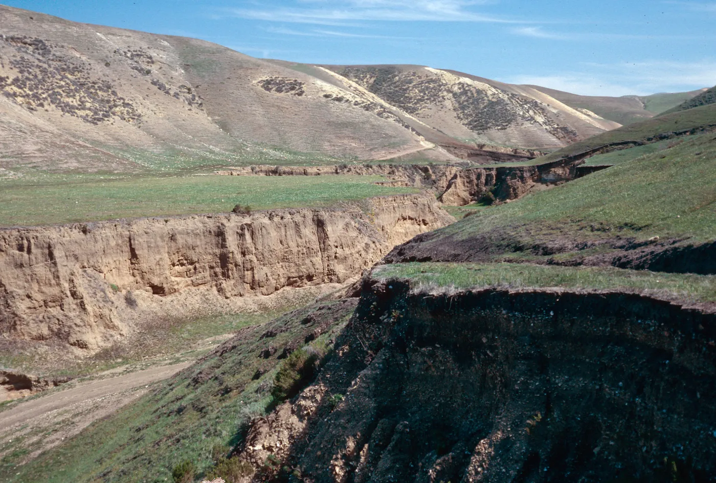 Arlington Canyon, Santa Rosa Island