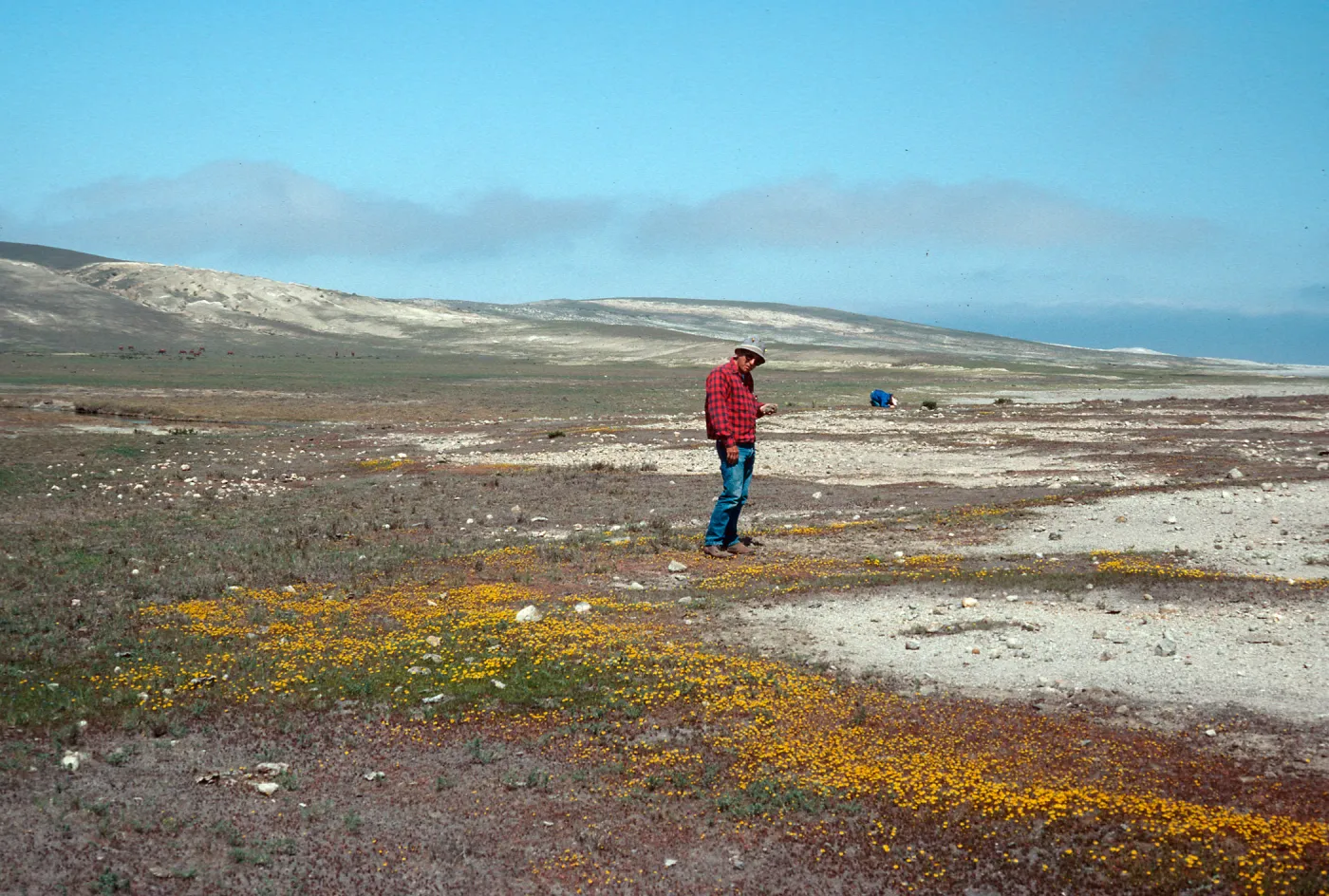 Bill Halvorson at Dudleya blochmaniae insularis site, South of Î” OAR, Santa Rosa Island