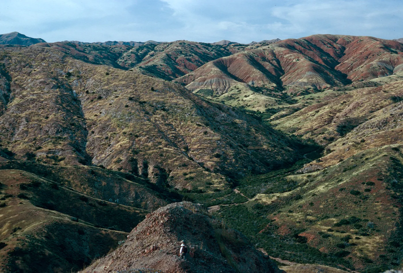 Willows Canyon, from Î” Cave, Santa Cruz Island