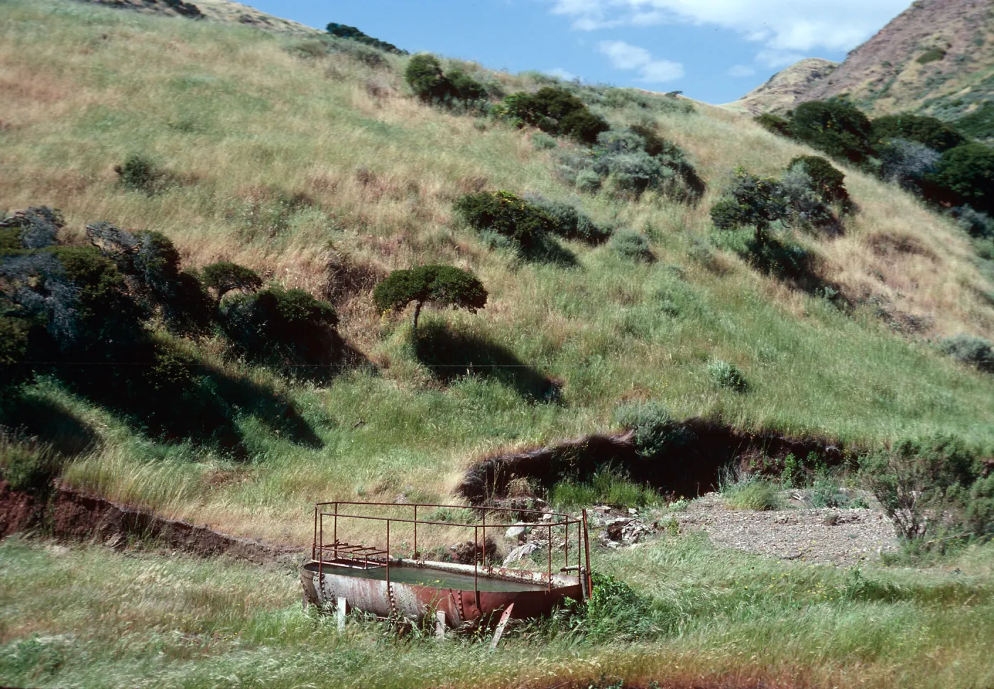 Embudo trough, Santa Cruz Island