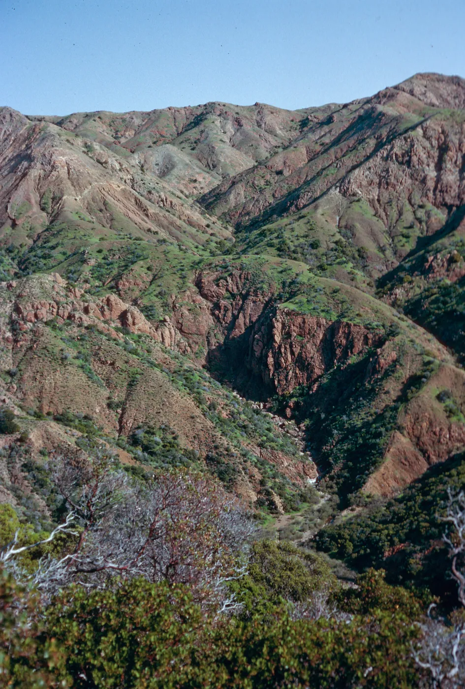 La Cascada Canyon, from South Ridge Road, Santa Cruz Island