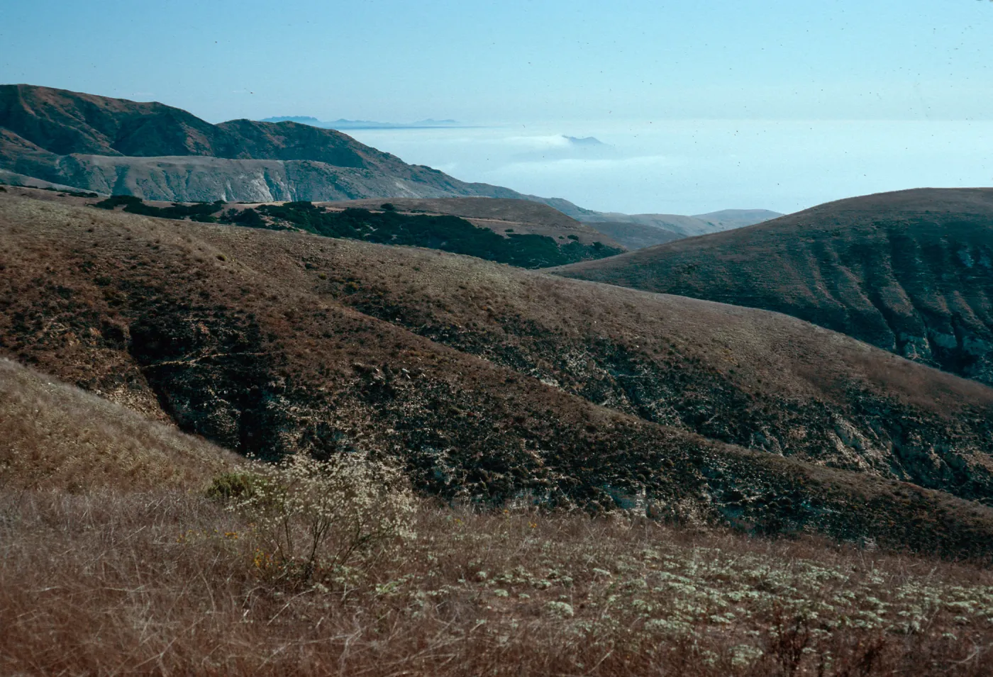 fog near West Anacapa Island, from navy road, Santa Cruz Island