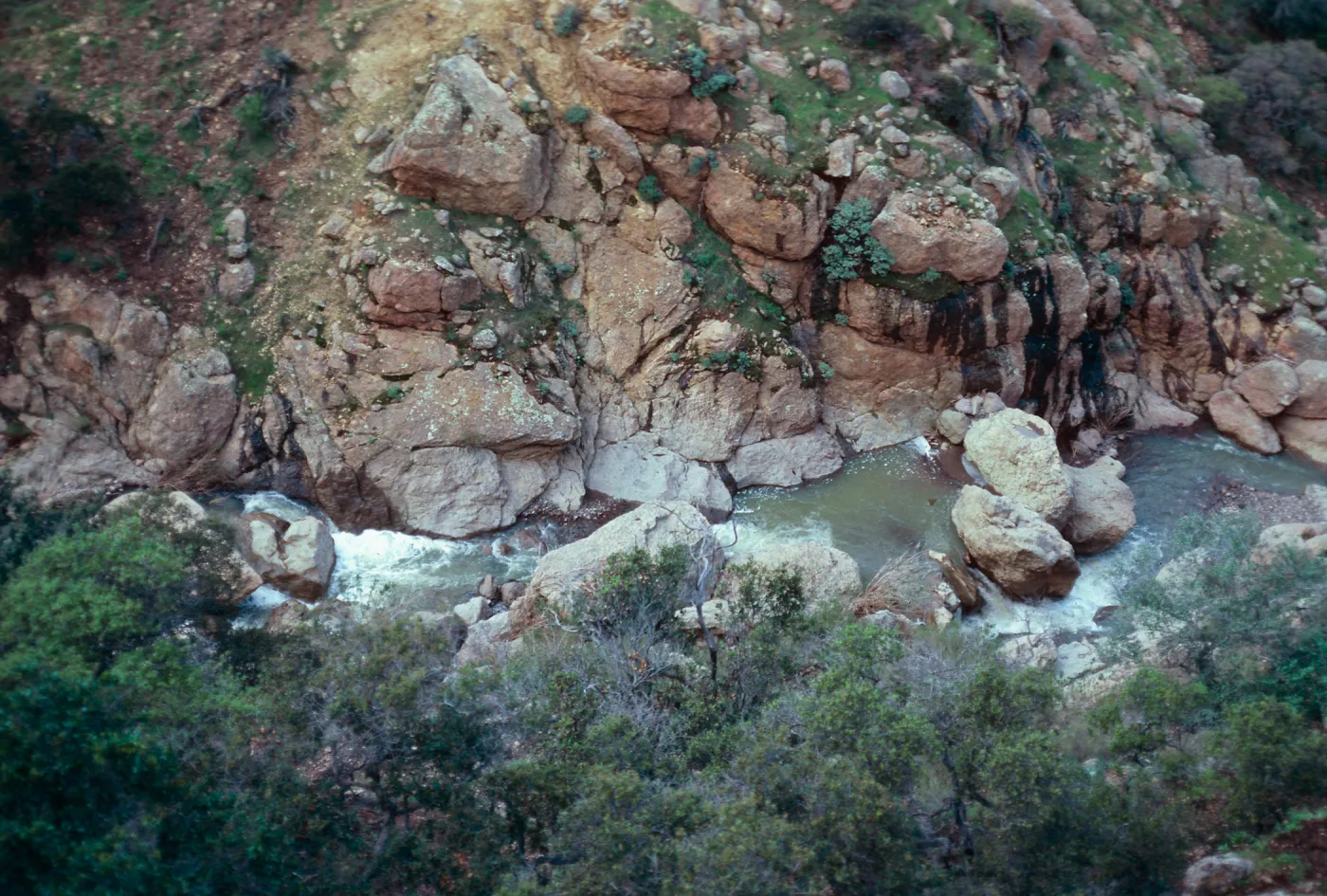 looking down into upper Cascada Canyon, East-West portion, Santa Cruz Island