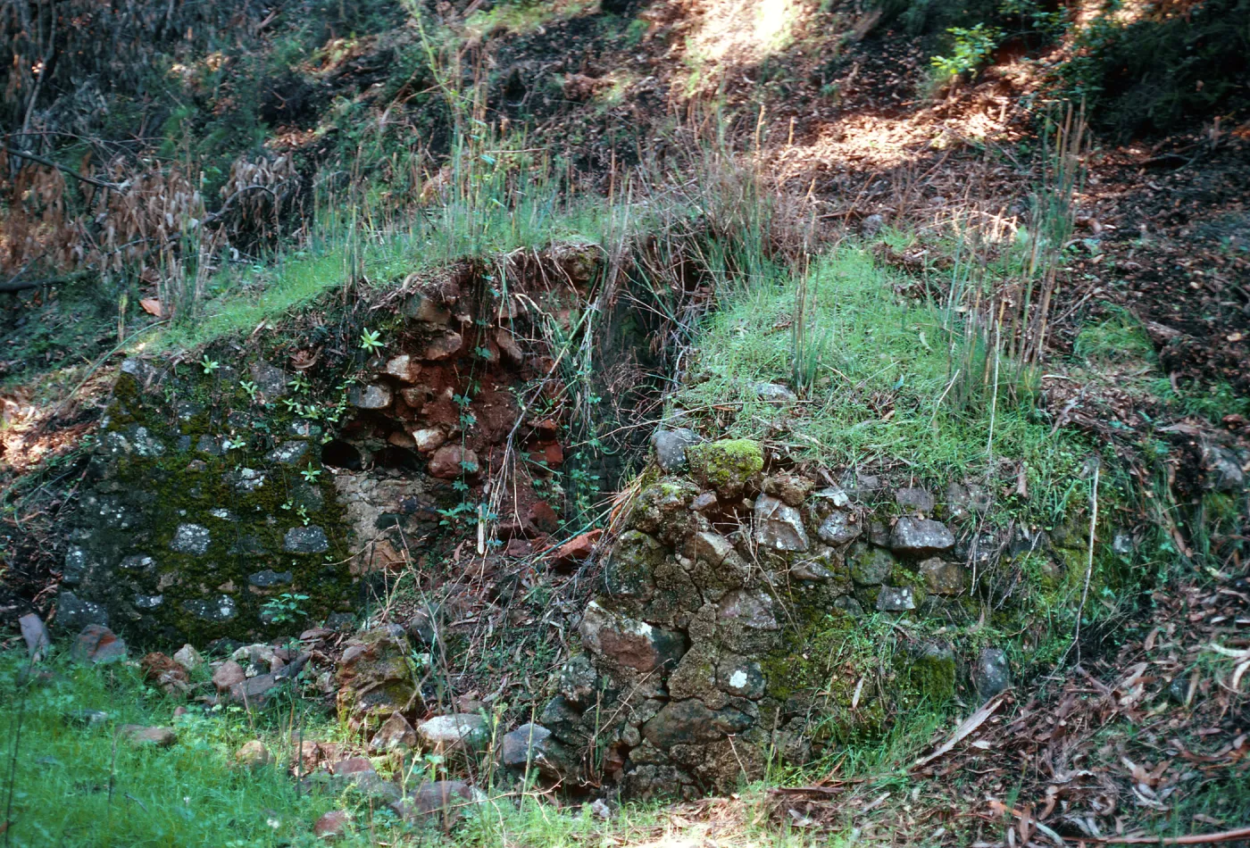 ruins of kiln, CaÃ±ada Del Puerto, Santa Cruz Island