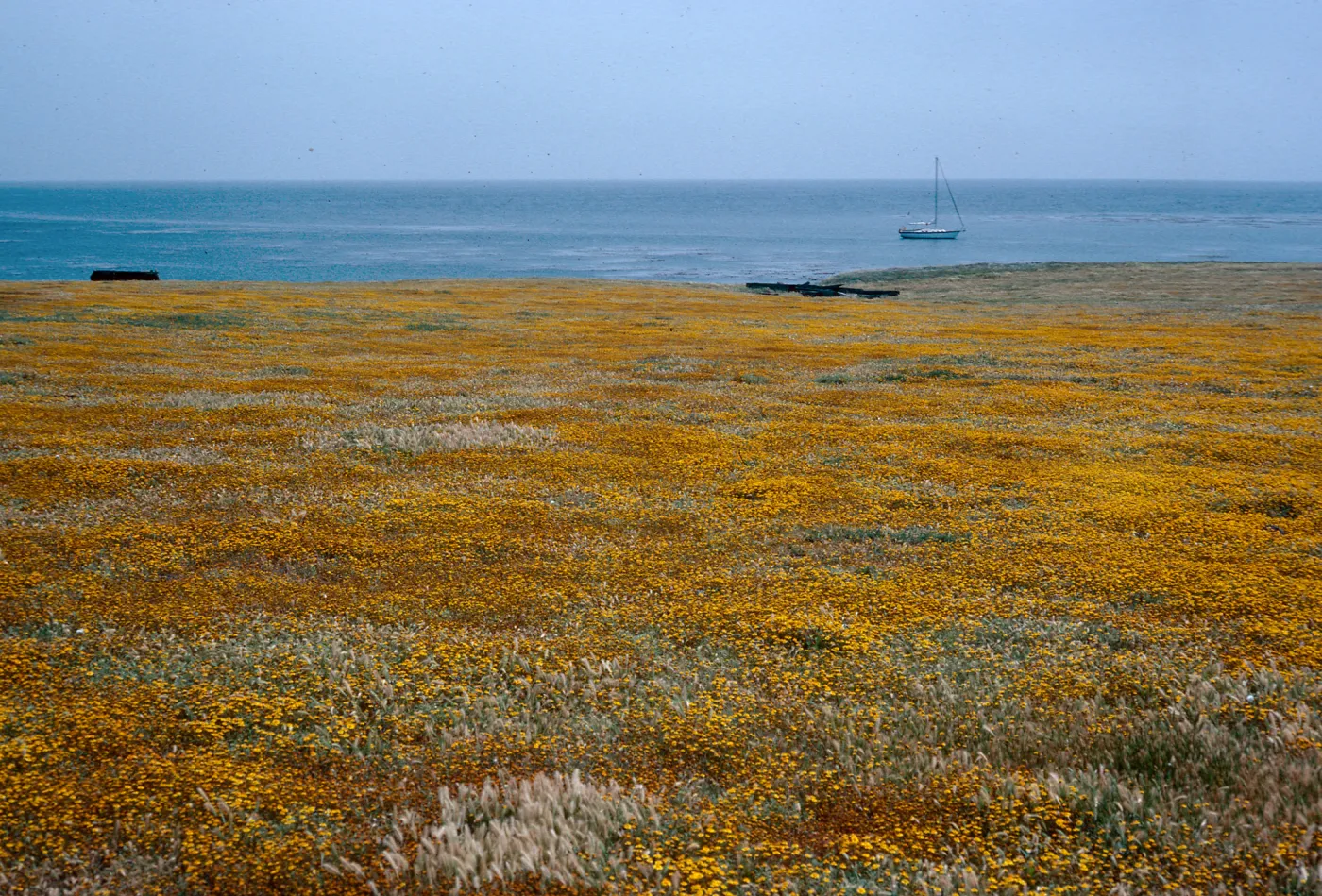 Fraser Point, Santa Cruz Island
