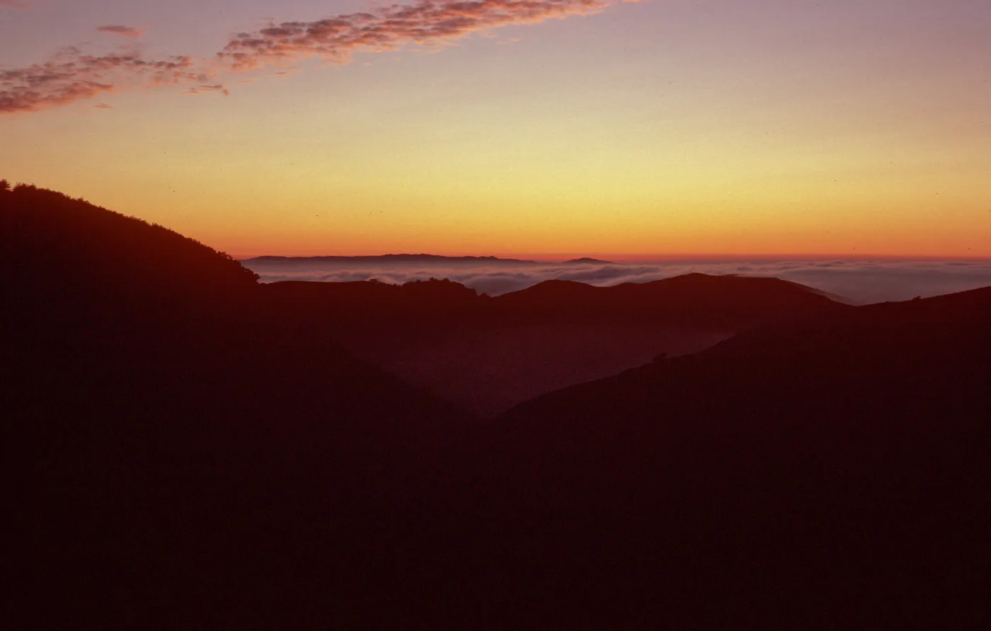 sunset & fog, upper Sauces Canyon, Santa Cruz Island