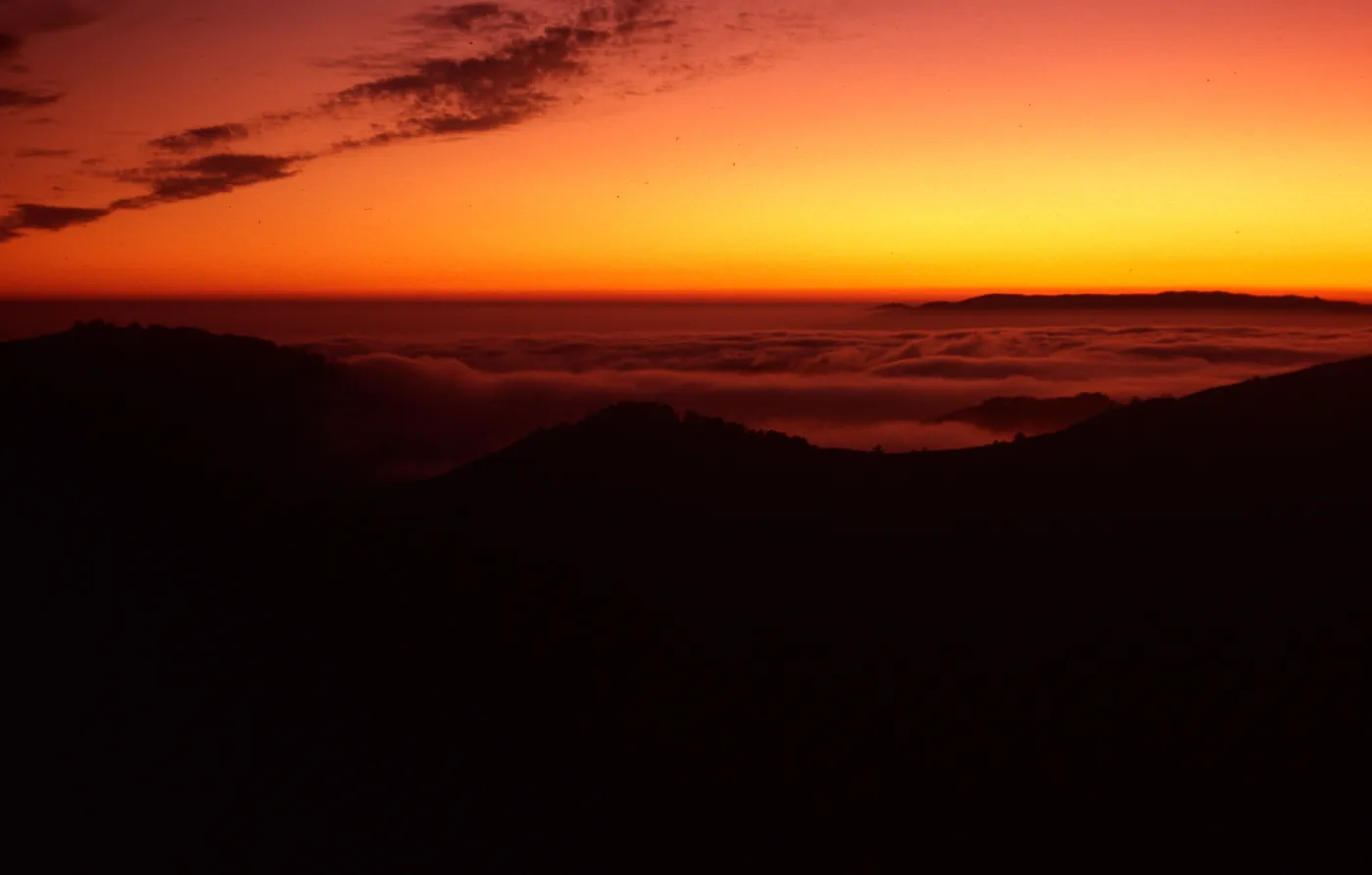 sunset & fog, upper Sauces Canyon, Santa Cruz Island