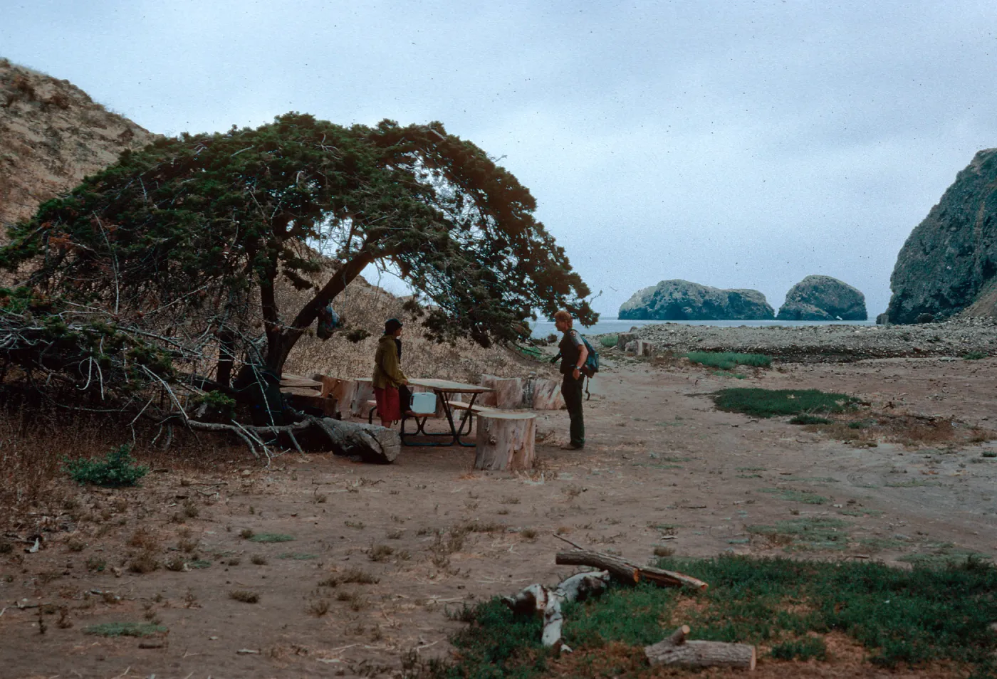 campground, Scorpion Ranch, Santa Cruz Island