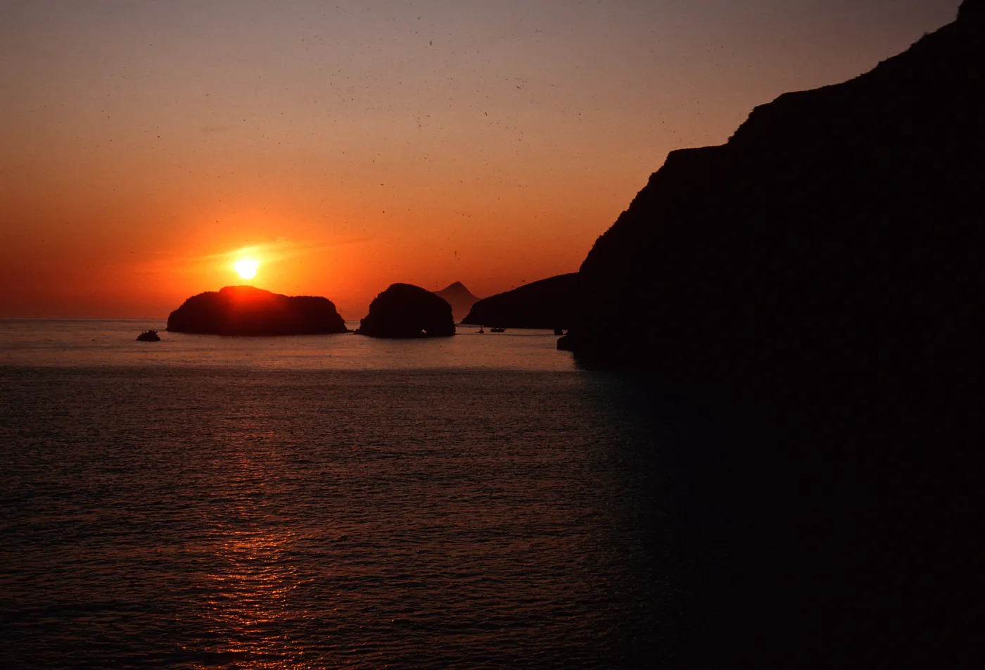 sunrise, Scorpion Canyon, Santa Cruz Island