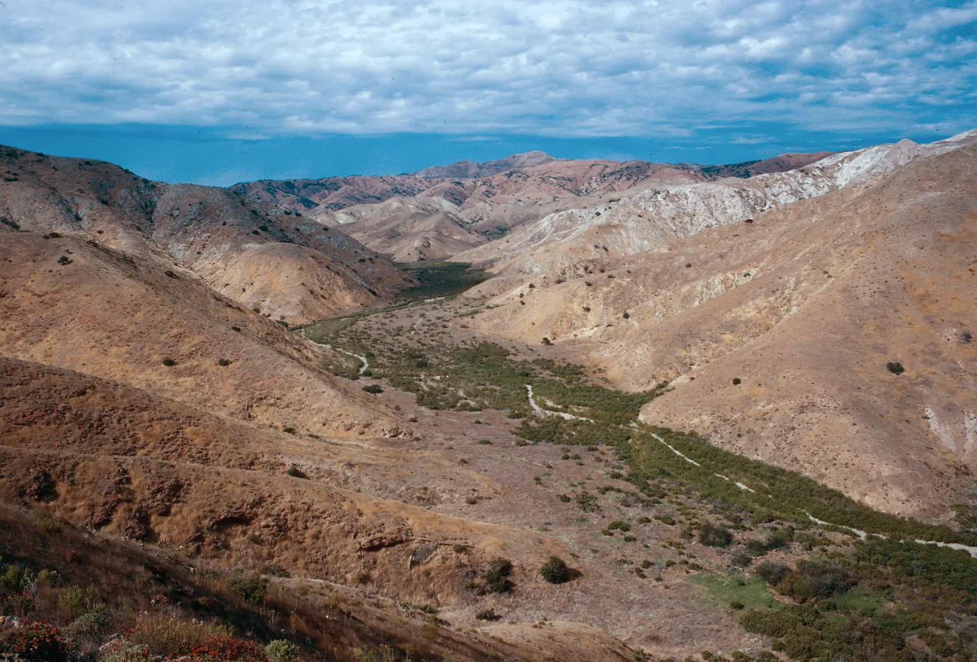 Laguna Canyon, Santa Cruz Island