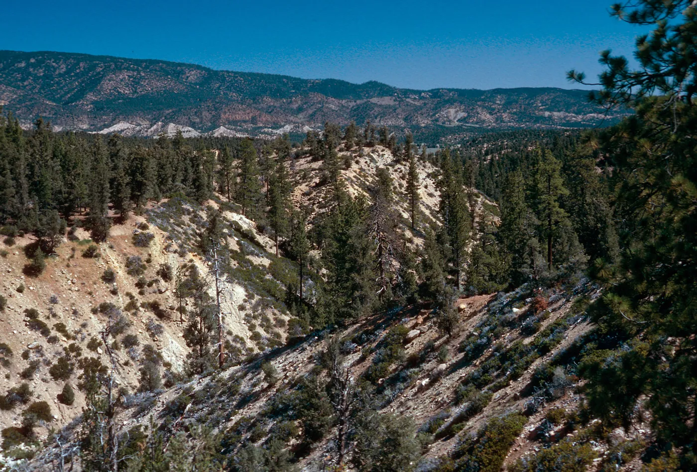 West end of Yellowjacket Trail, Yellowjacket Campground