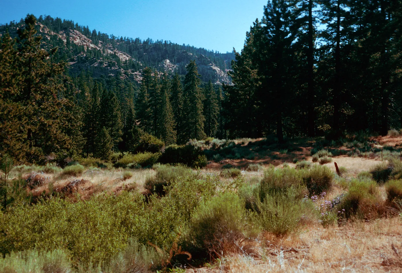 Yellowjacket Trail, Ventura County