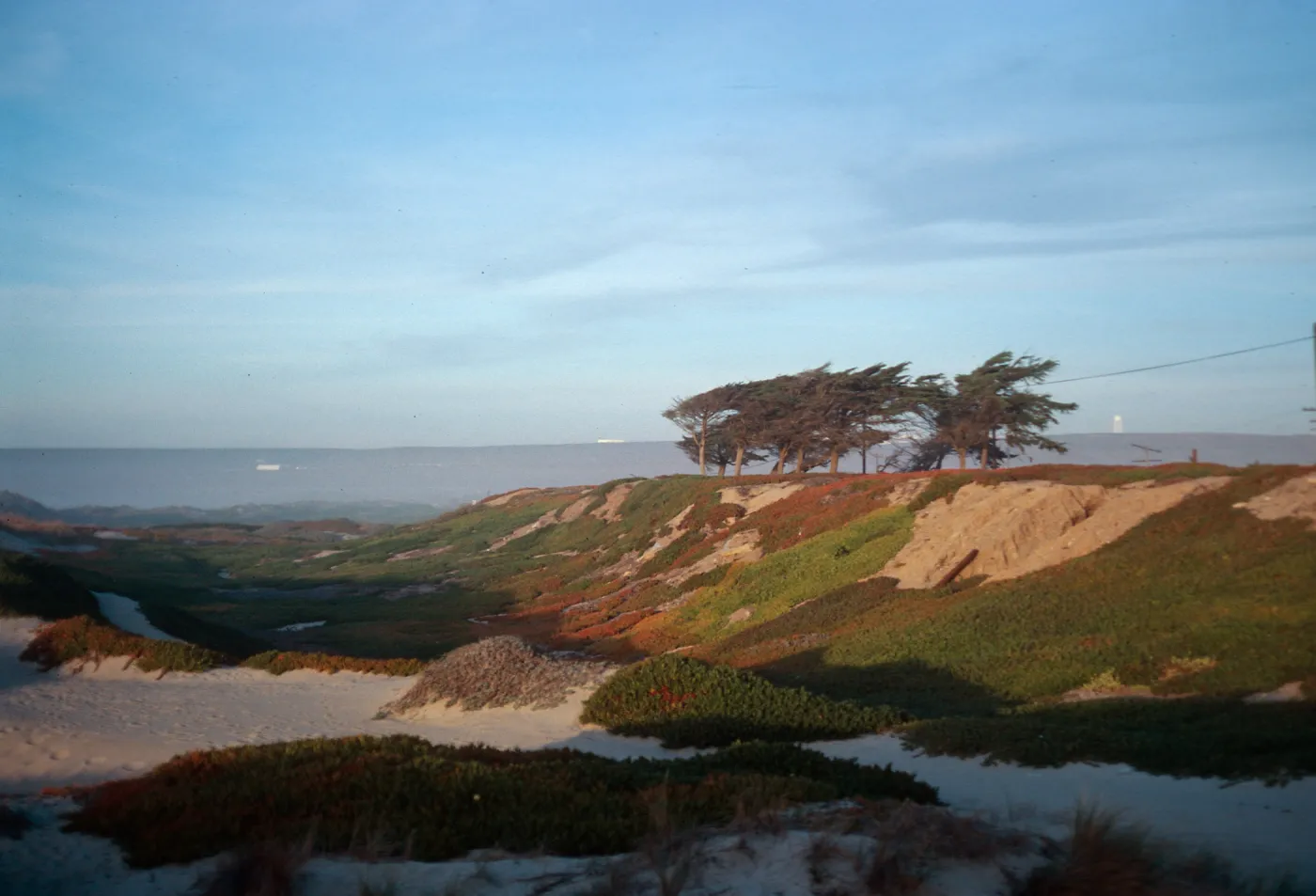 backdunes at surf, Santa Ynez River, Santa Barbara County