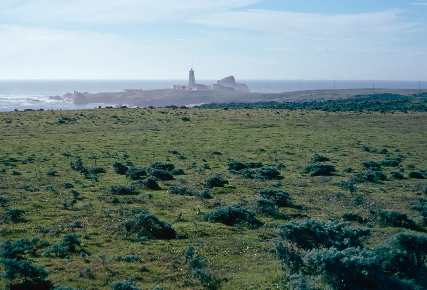 Piedras Blancas lighthouse, Point Piedras Blancas, San Luis Obispo County
