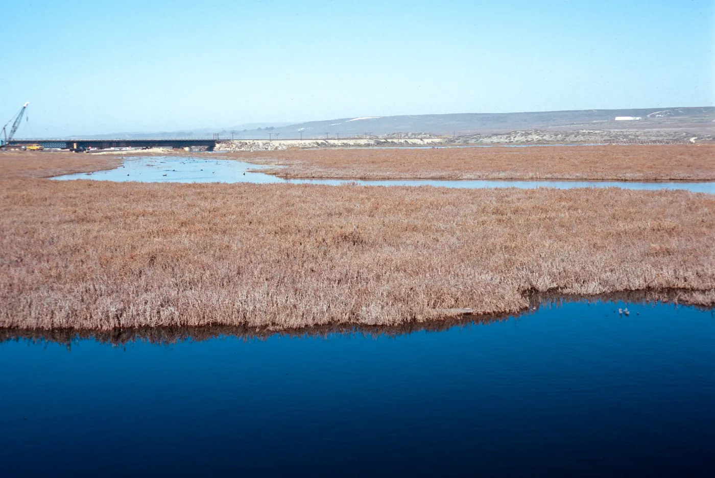Surf, salt marsh at Ocean Park, Santa Ynez River, Santa Barbara County
