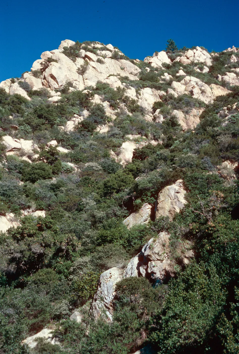 above Seven Falls, Mission Canyon, Santa Barbara County