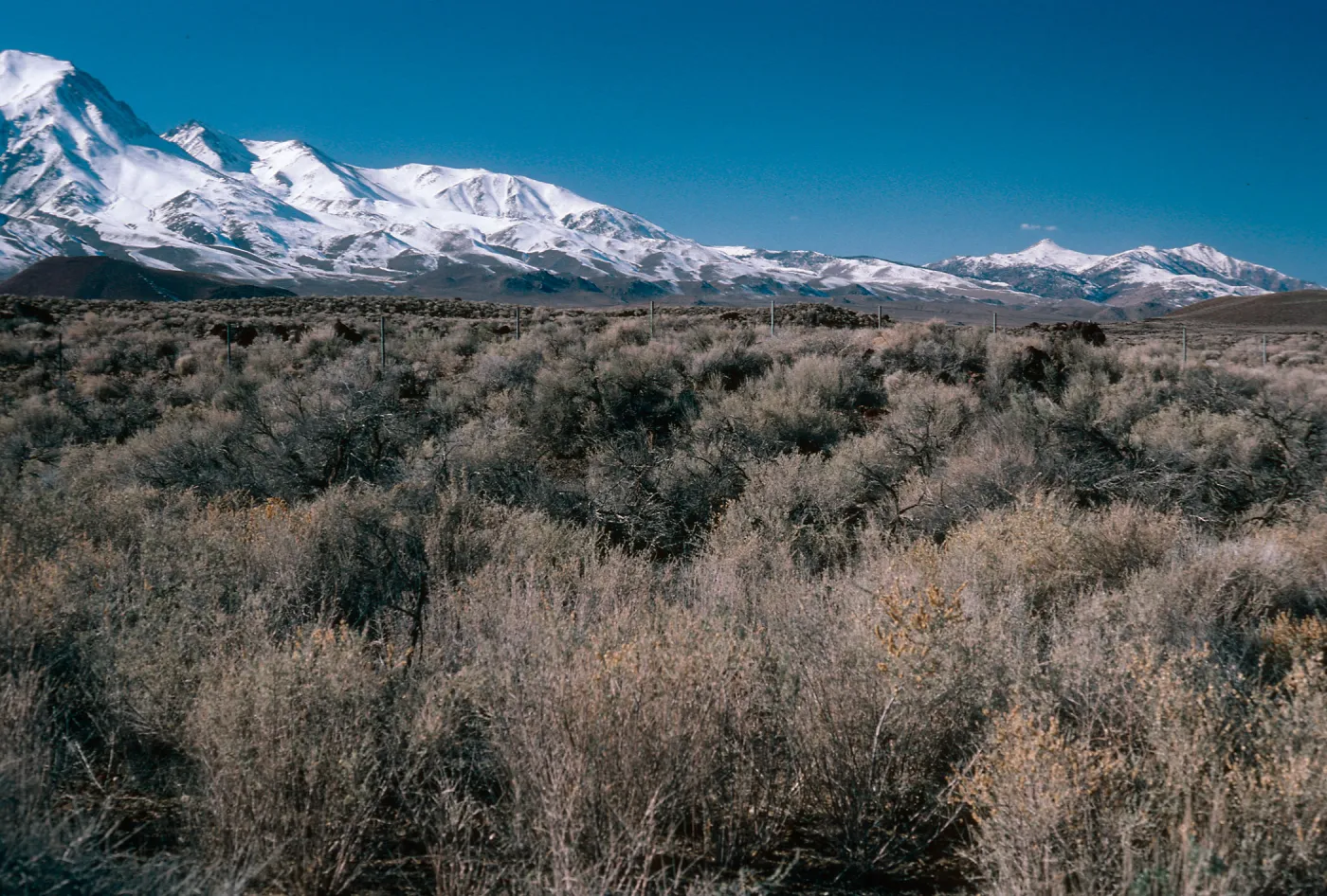 Eastern Sierra Nevada, looking North, 10 miles North of Independence, Inyo County 