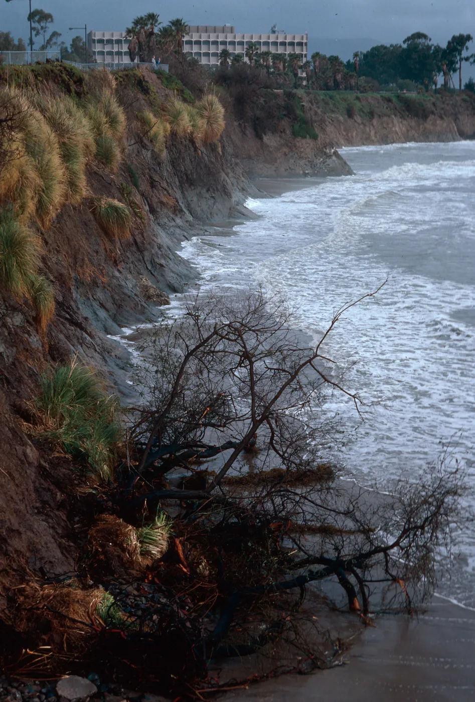 UCSB Campus Beach, Santa Barbara County
