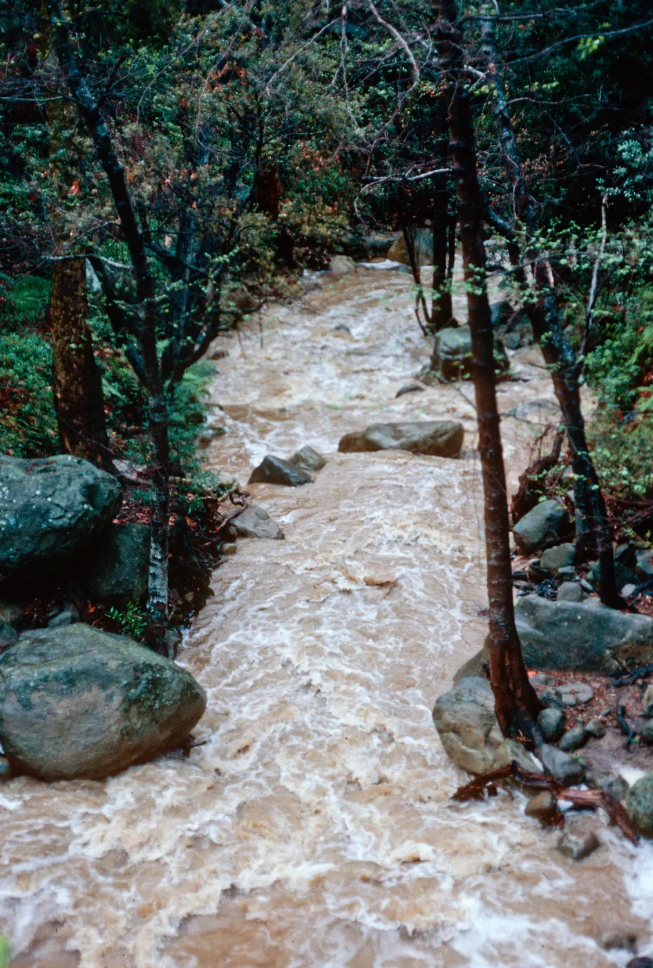 Mission Creek, Santa Barbara County