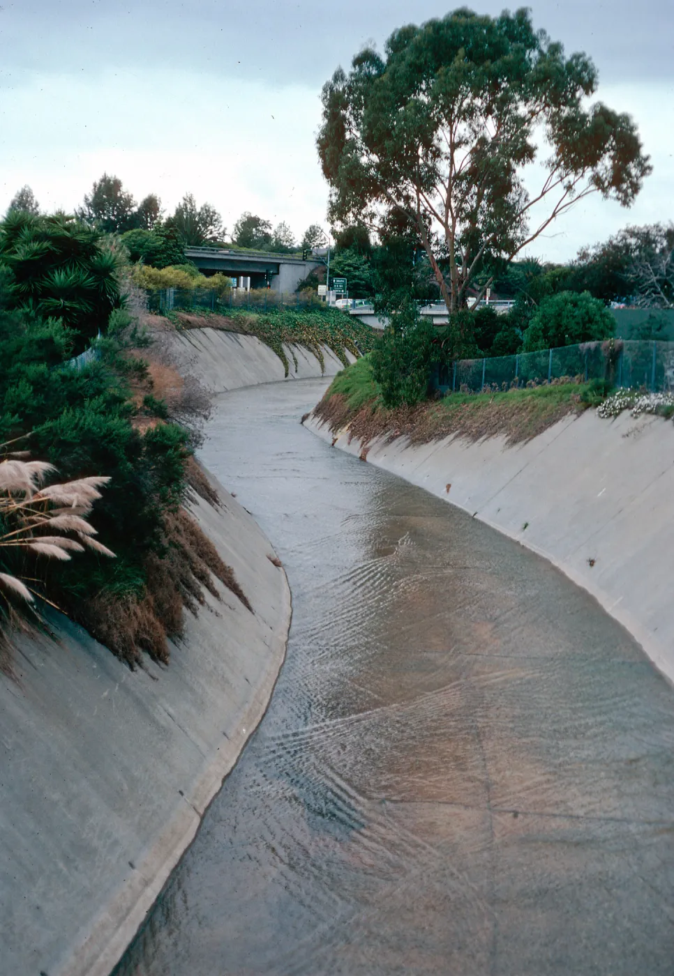 Mission Creek by Highway 101, Santa Barbara County