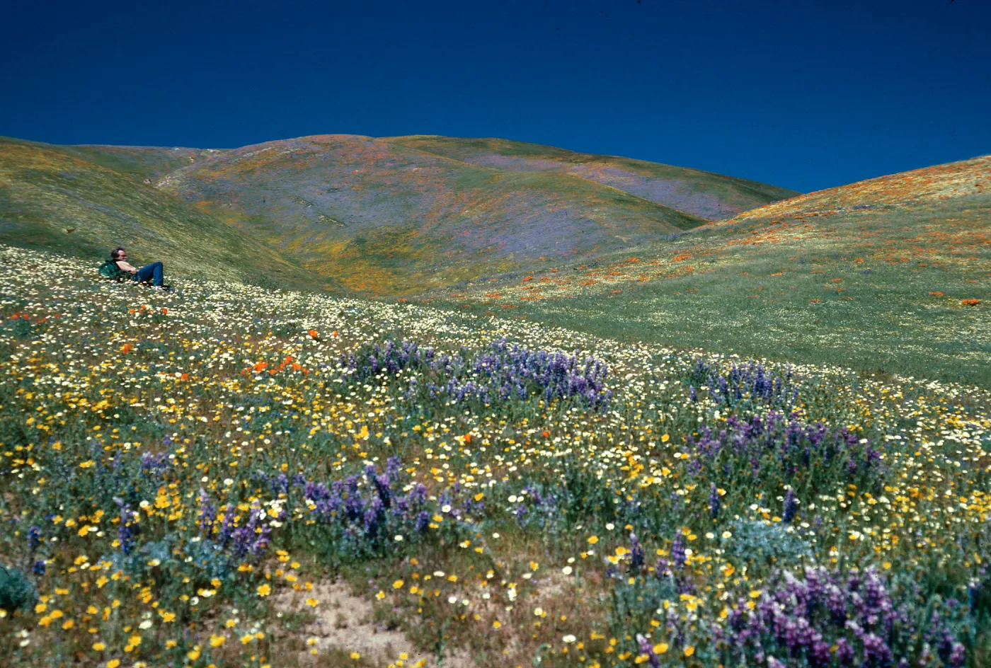 Ralph Philbrick, Gorman