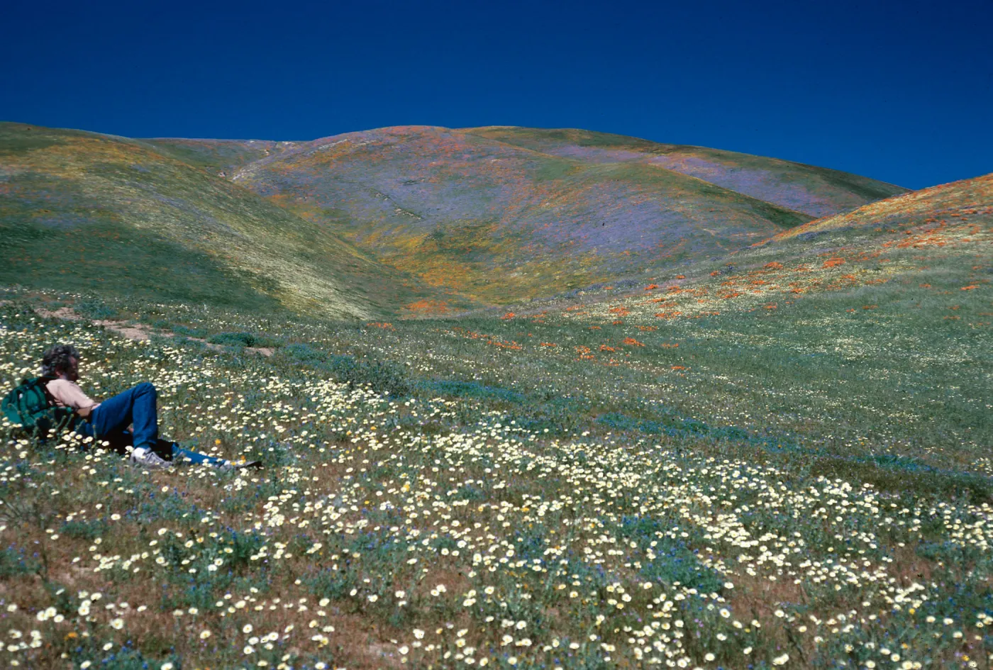 Ralph Philbrick, Gorman