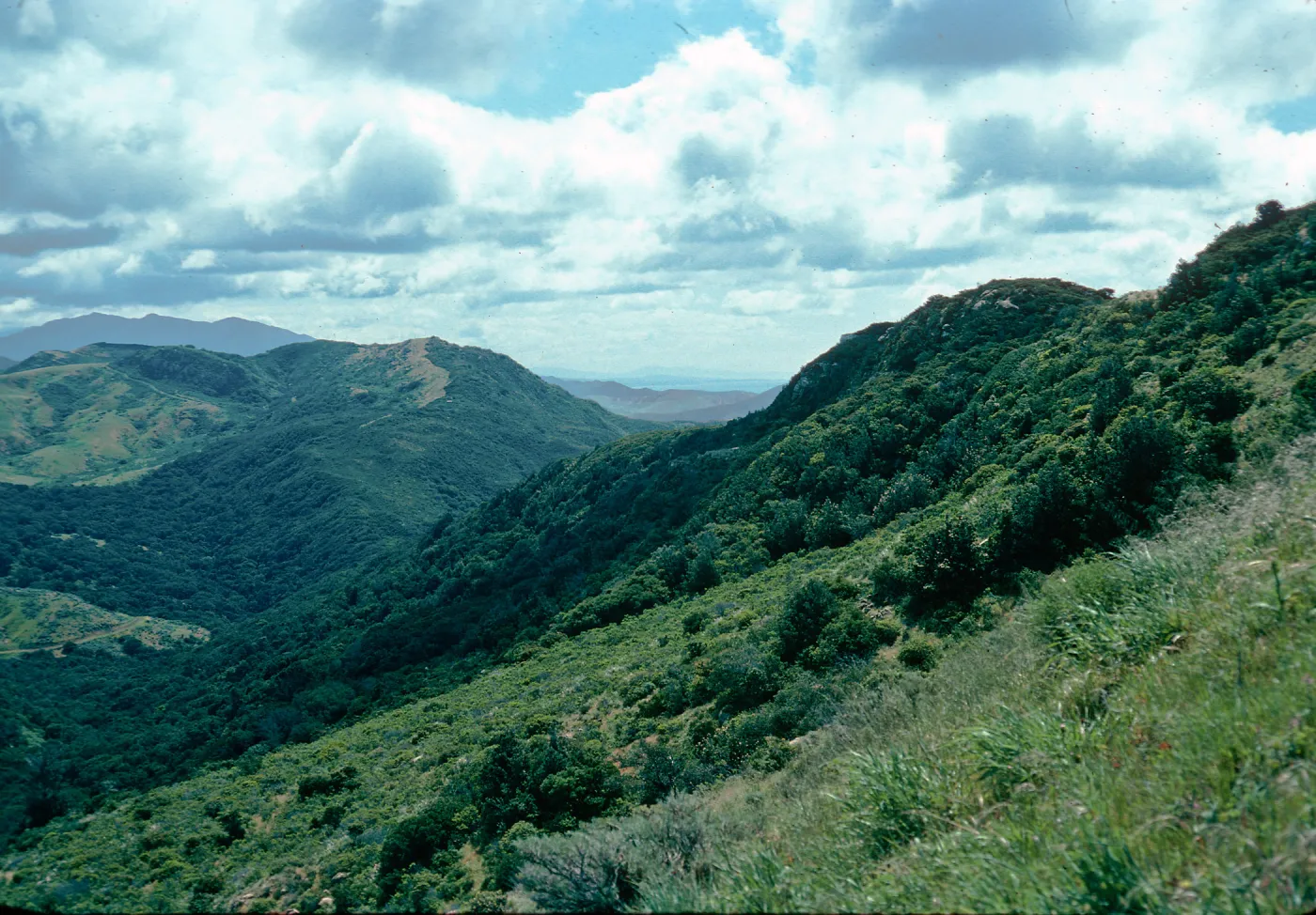 head of San Augustine Road, Hollister Ranch, Santa Barbara County