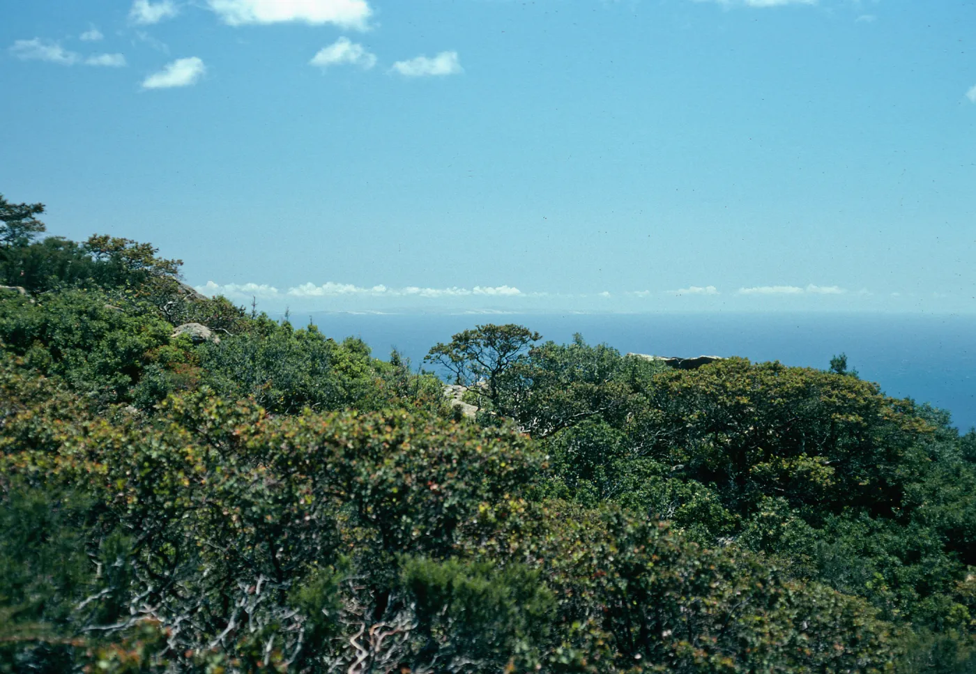 looking toward San MIguel Island, Cresta Road, Hollister Ranch, Santa Barbara County