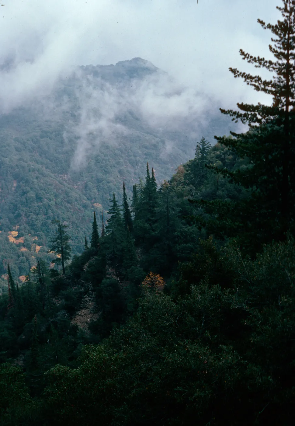 Cone Peak, Santa Lucia Mountains, Big Sur, Monterey County