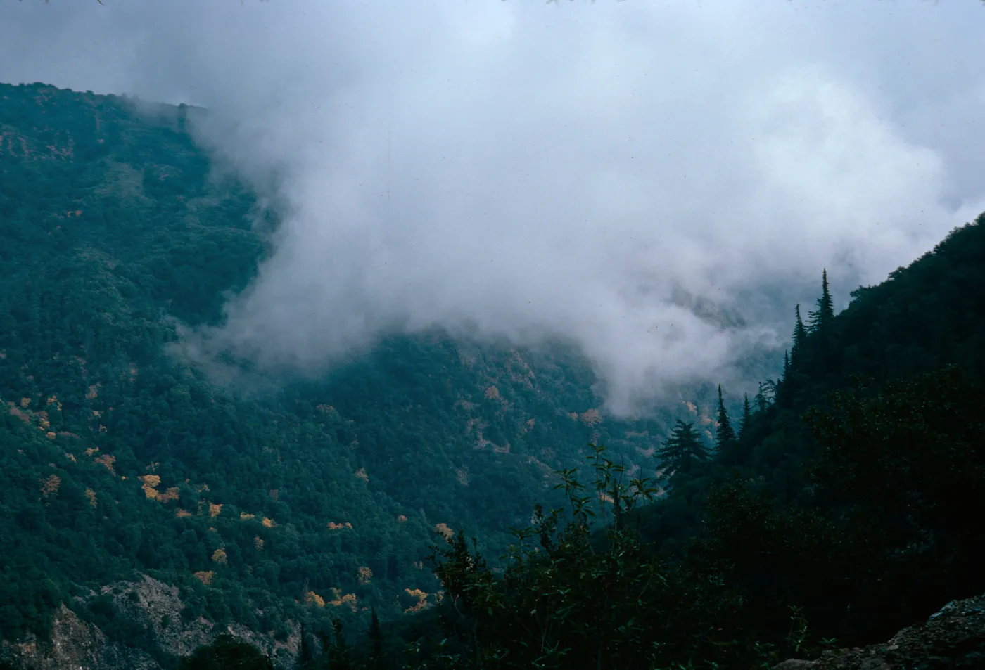 Cone Peak, Santa Lucia Mountains, Big Sur, Monterey County
