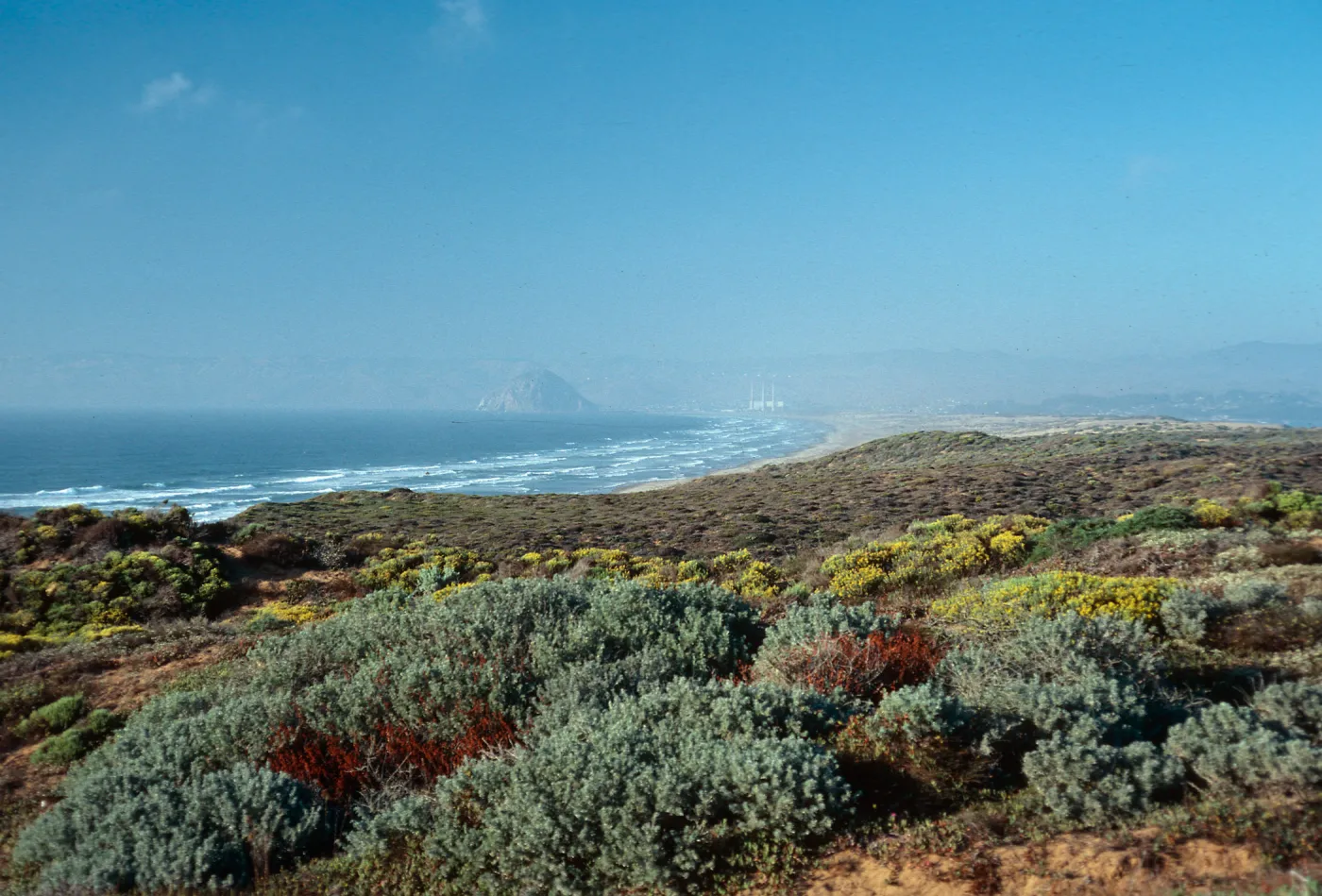 Morro Bay sandspit from North end of MoÃ±tana de Oro, San Luis Obispo County