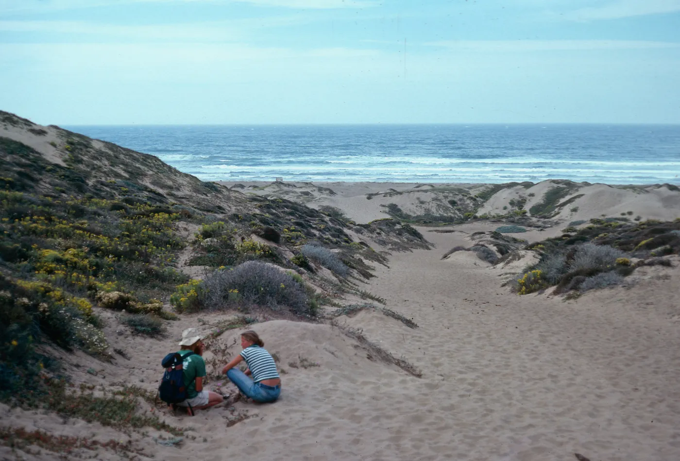 dunes, North of Hazard Canyon, MontaÃ±a de Oro, San Luis Obispo County