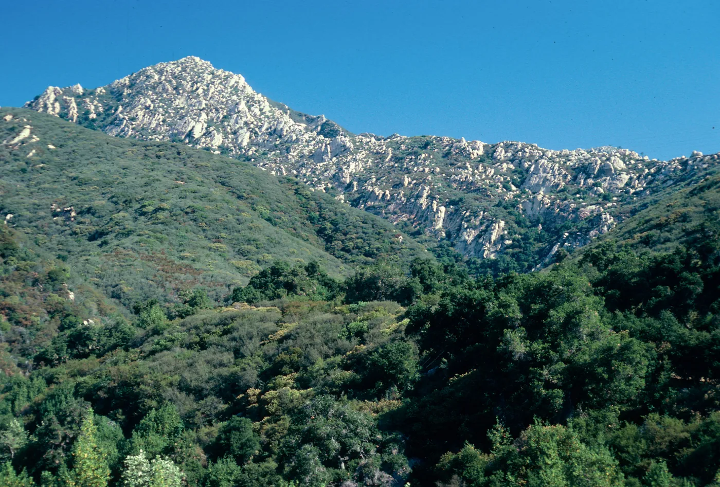 Cathedral Peak from upper Mission Canyon, Santa Barbara County