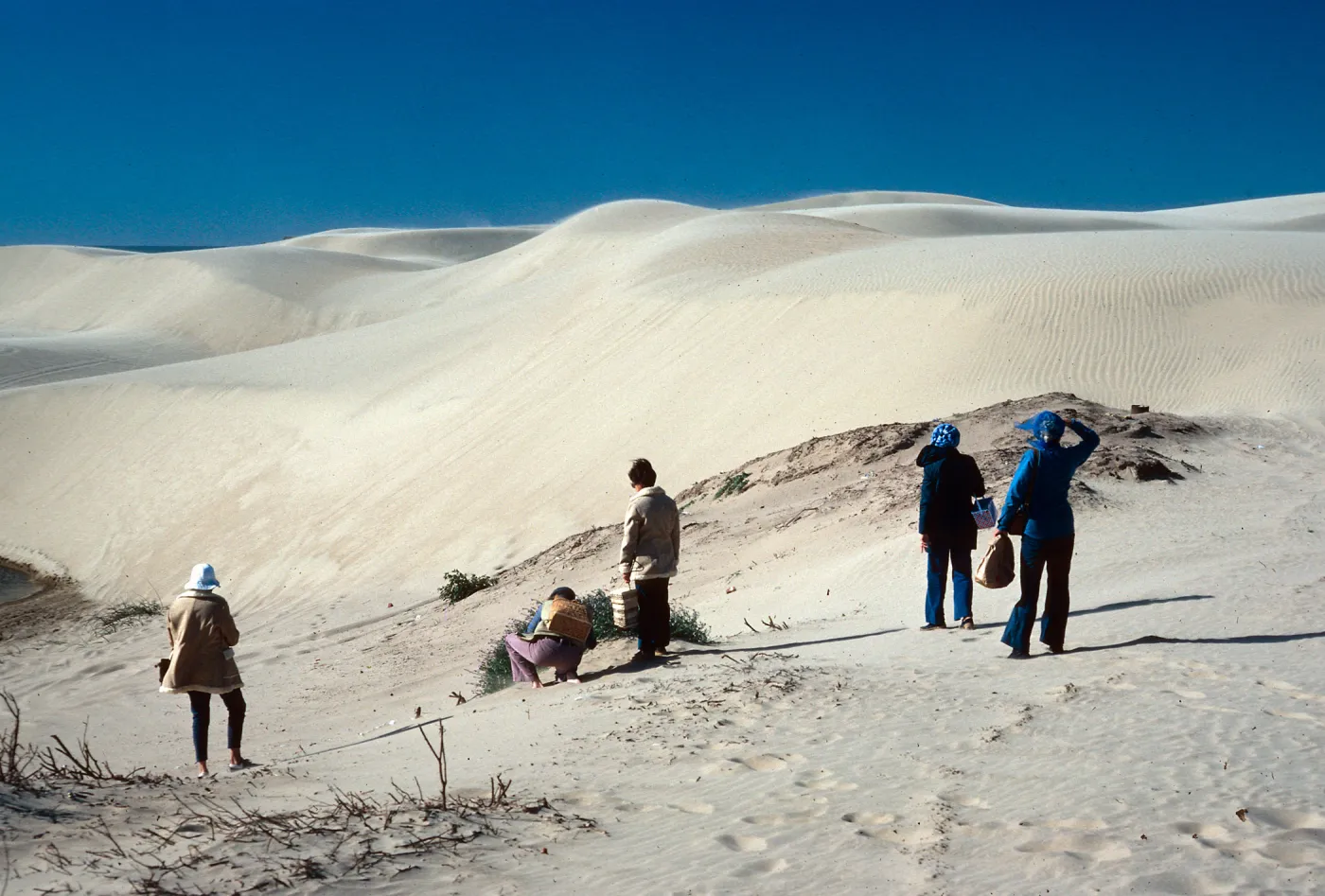 bare dunes near Oso Flaco Lake, Oceano Dunes State Park, San Luis Obispo County