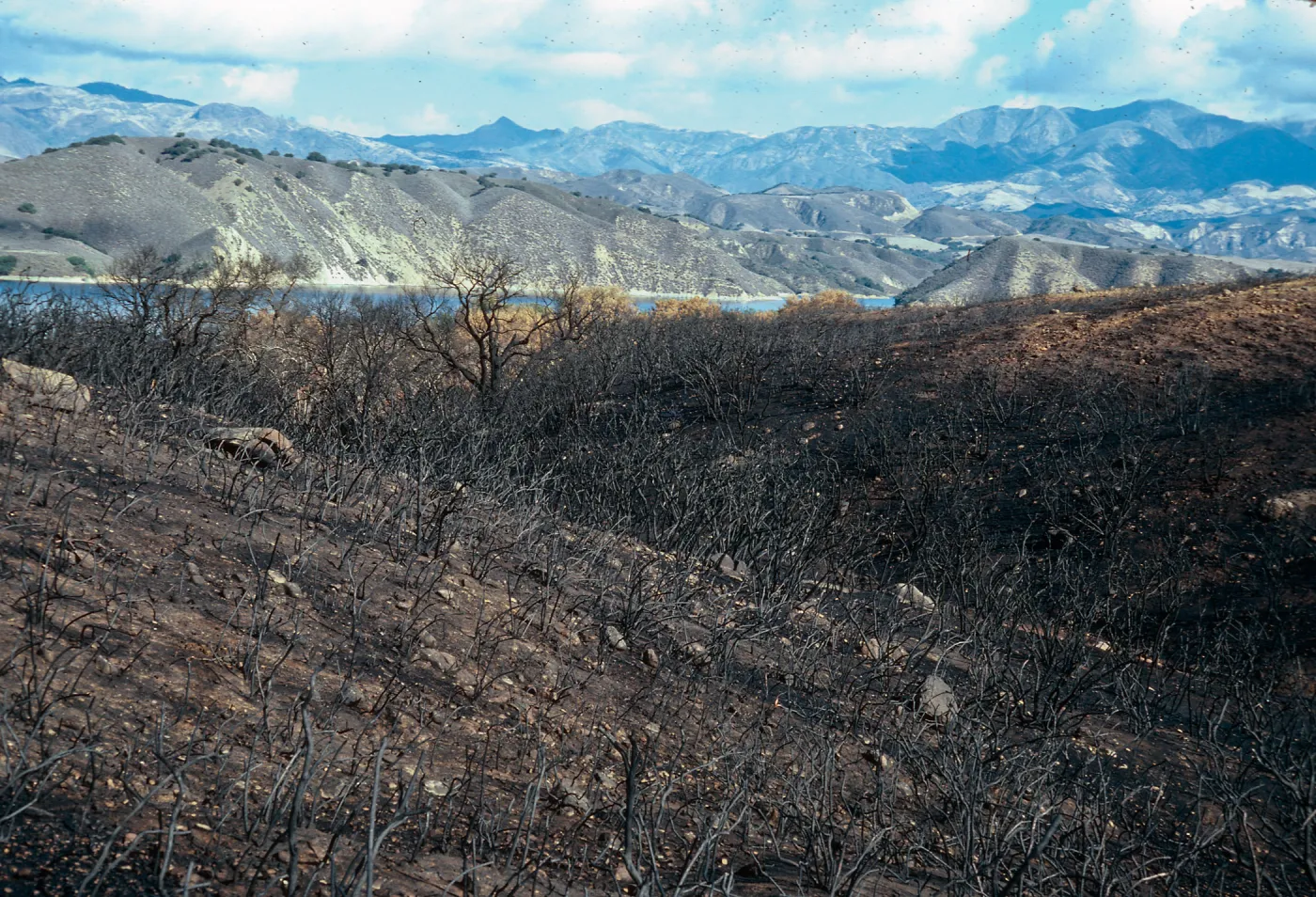 Lake Cachuma burn, at road to Bradbury Dam overview, Santa Barbara County