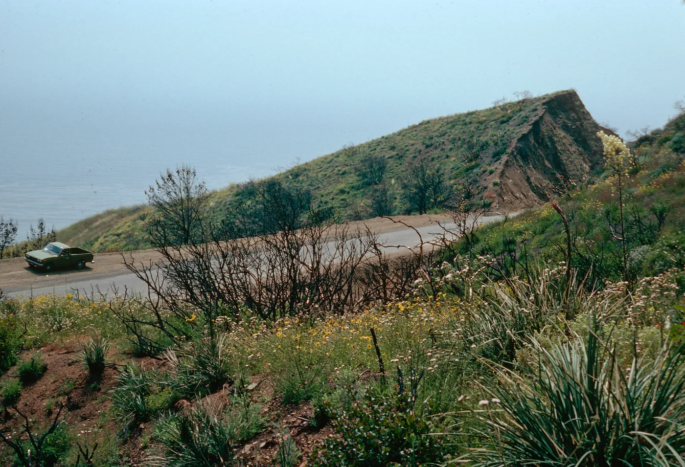 burn of Fall, 1978, Encinal Canyon Road, Santa Monica Mountains, Los Angeles County