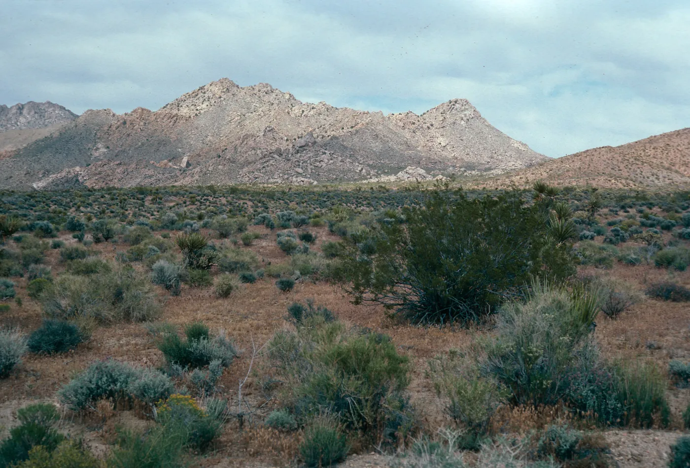 Granite Pass, Providence Mountains, San Bernardino County