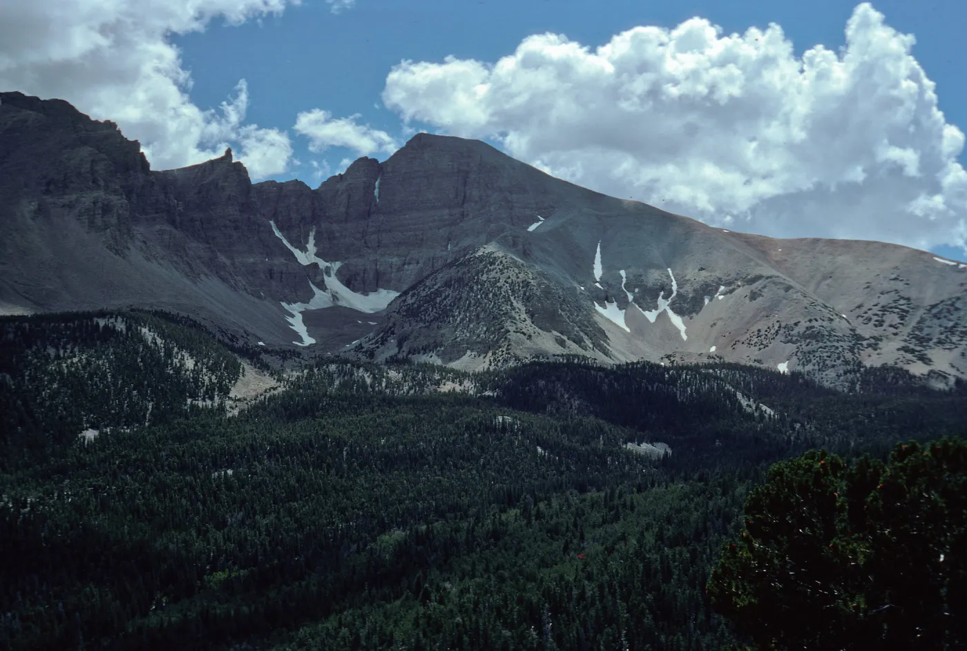 Wheeler Peak, Nevada
